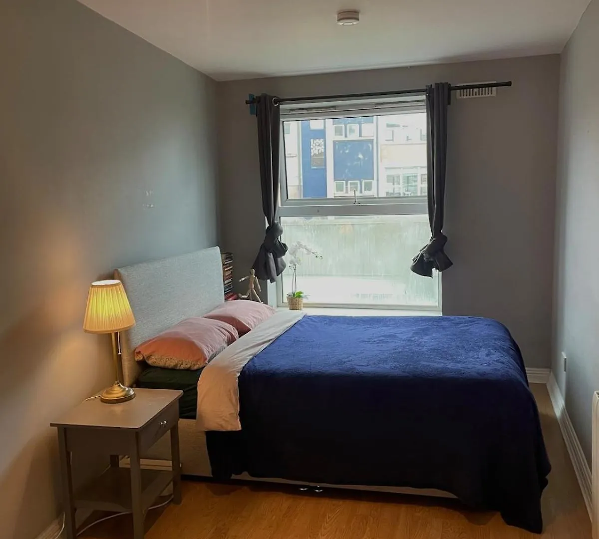 شقة Entirehouse-15 Min Walk Templebar- Free Parking&Wifi دبلن